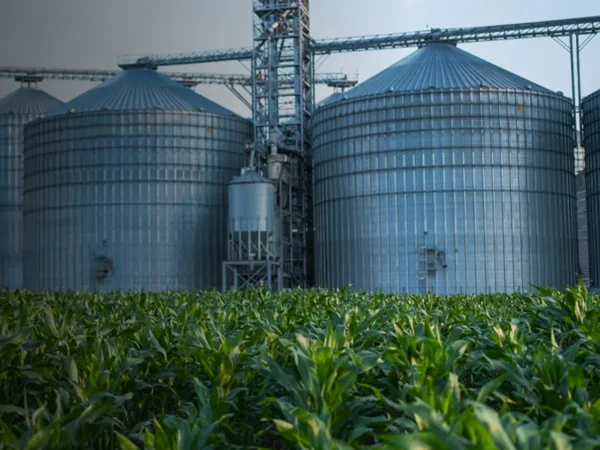 Agrochemical Industry